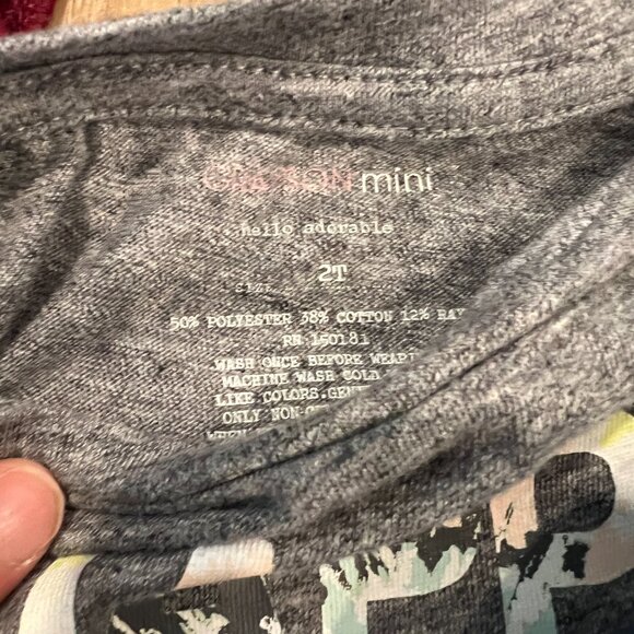 5 Pieces - Size 2T Dresses - Winter, Summer - Misc Brands Lot - Picture 7 of 8